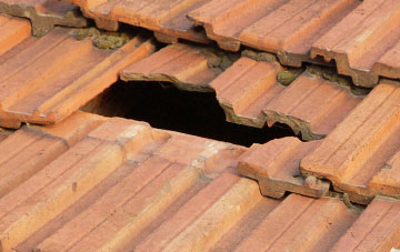 roof repair Raveningham, Norfolk